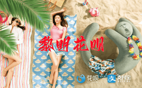 年少有为花呗